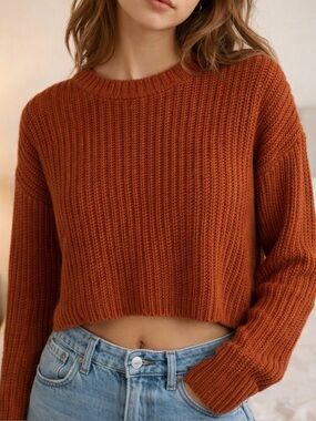 Forever 21 Cropped Crewneck Sweater in Rust